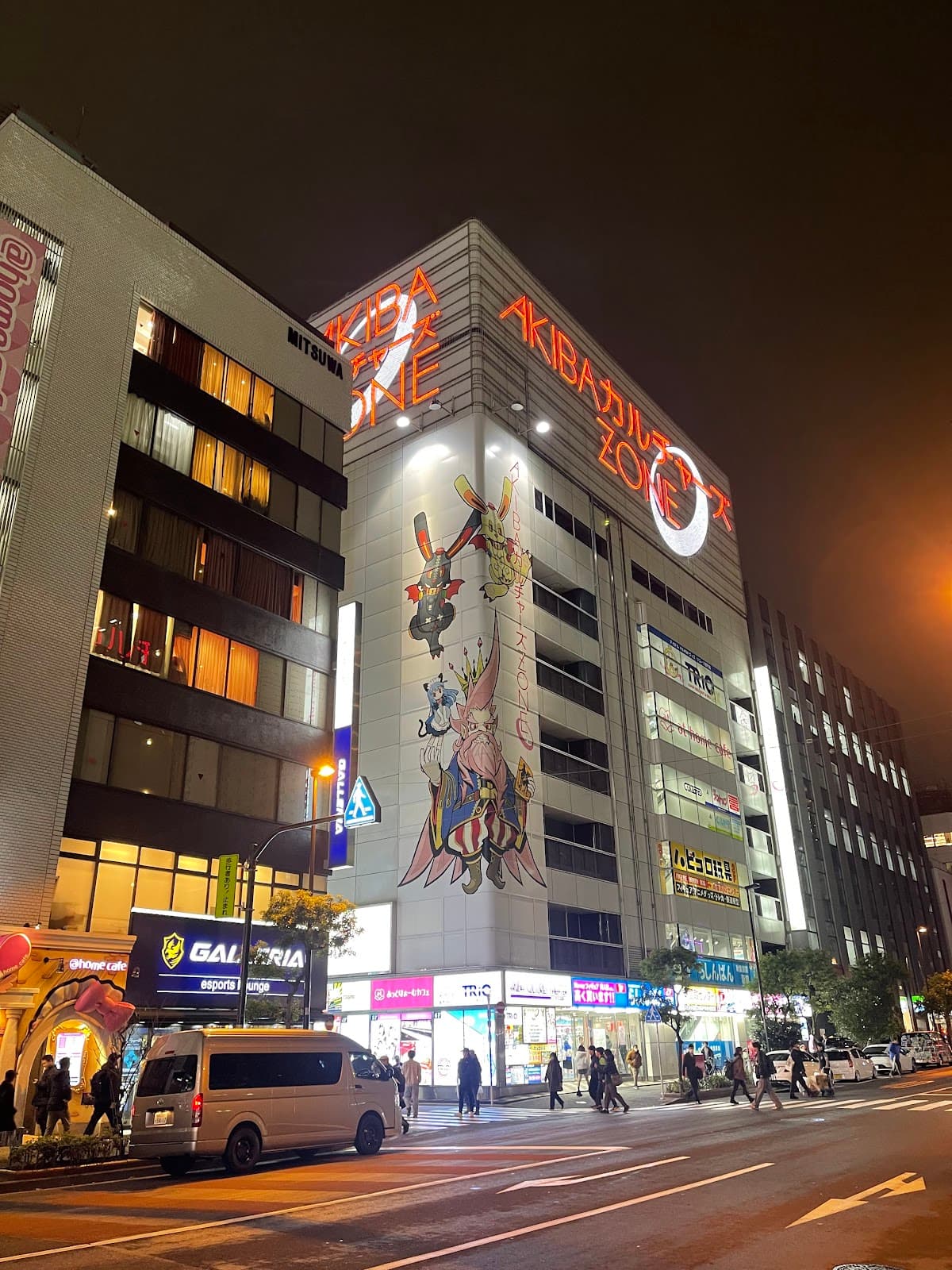 AKIBA Cultures Zone — photo 6