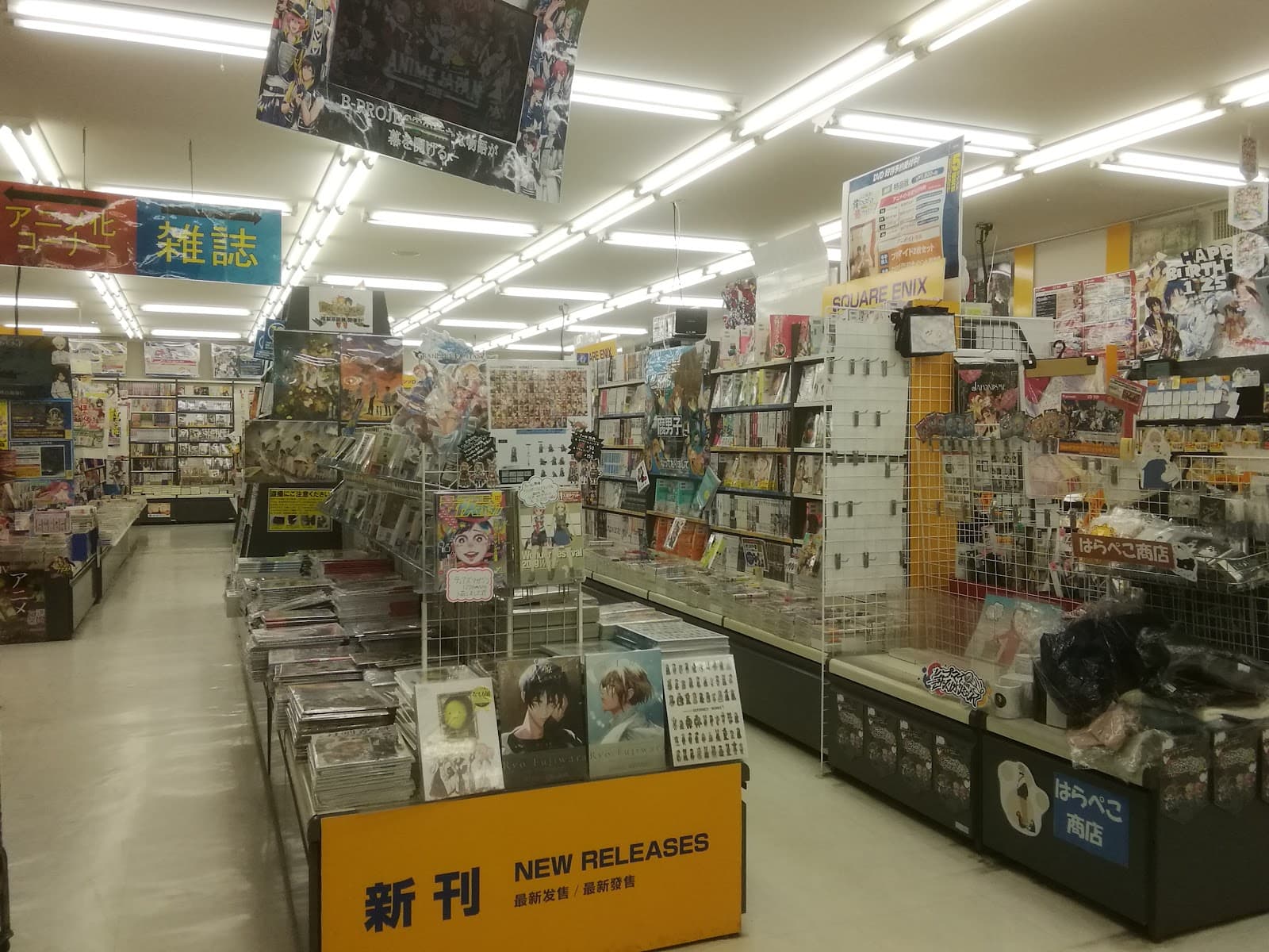 Animate Chiba — photo 1