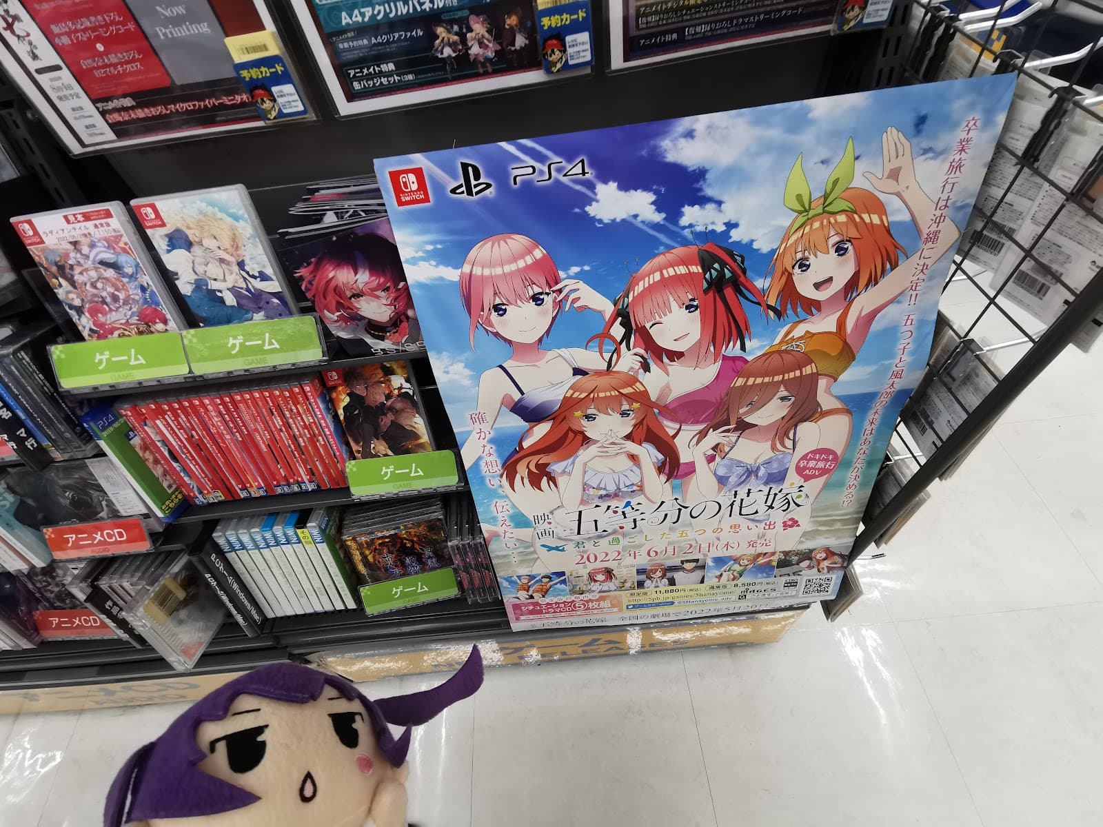 Animate Chiba — photo 2