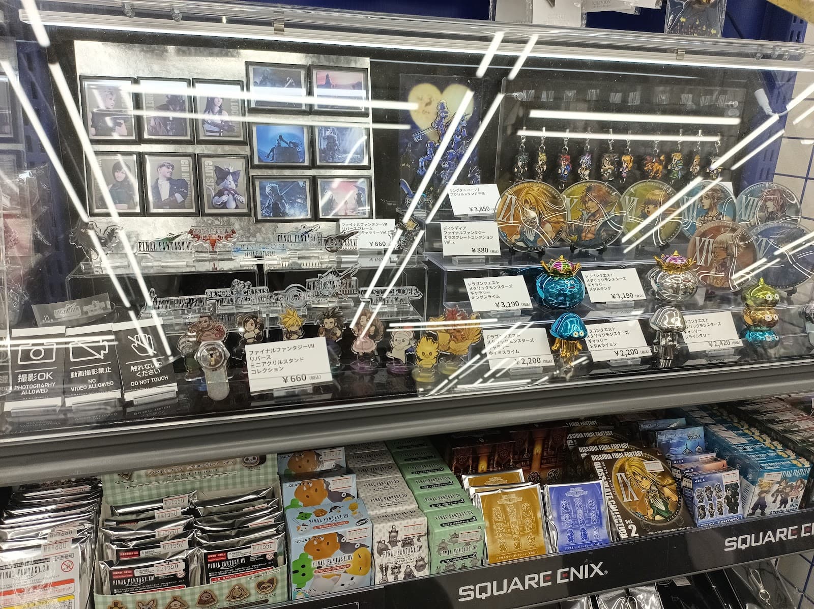 Animate Chiba — photo 3