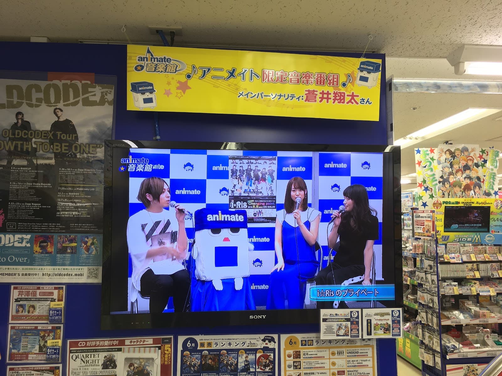 Animate Hamamatsu — photo 6