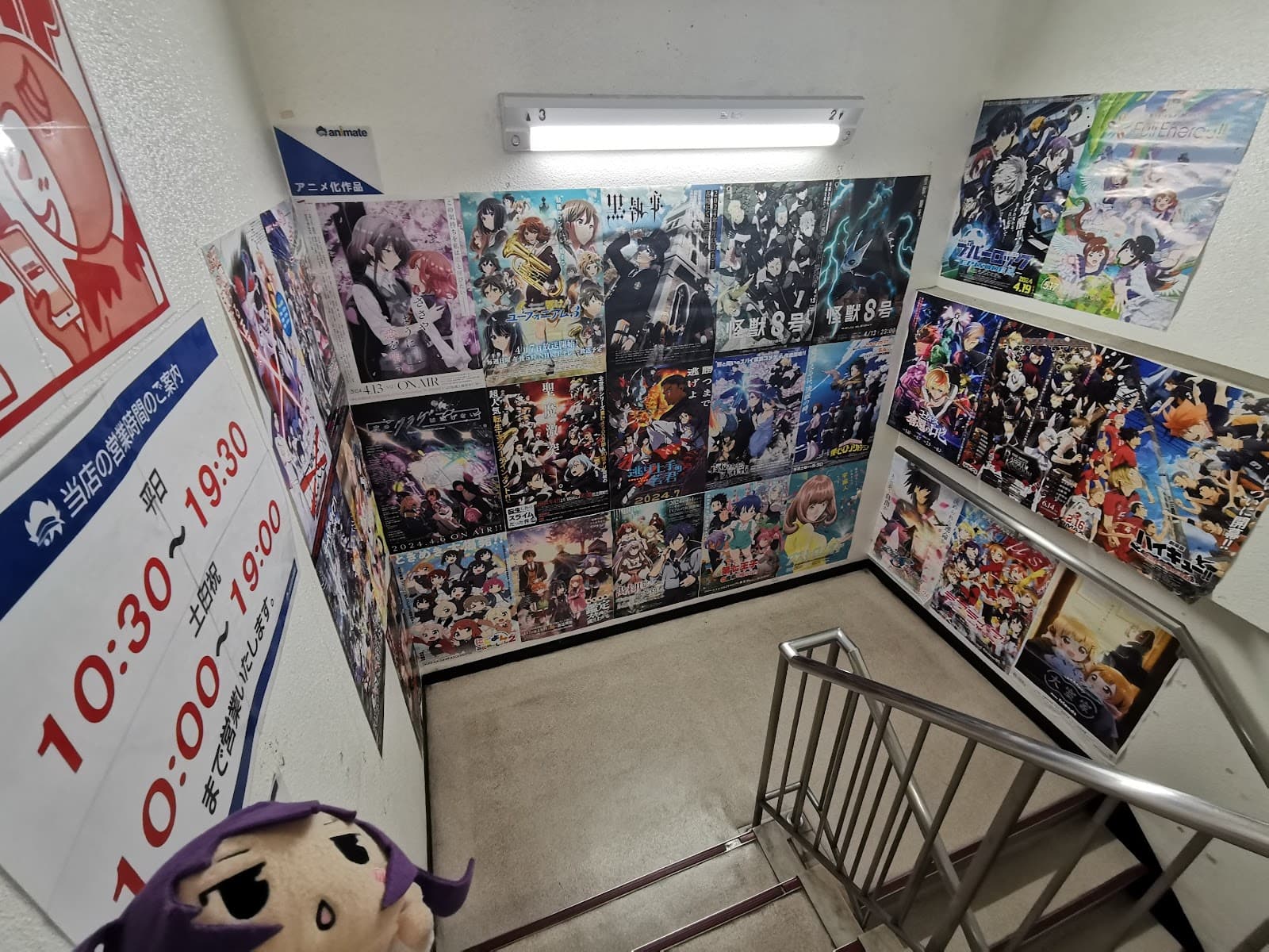 Animate Kagoshima — photo 2