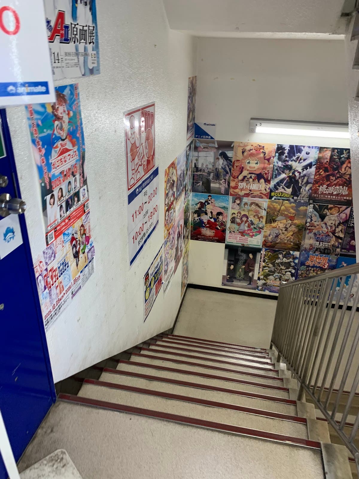 Animate Kagoshima — photo 3