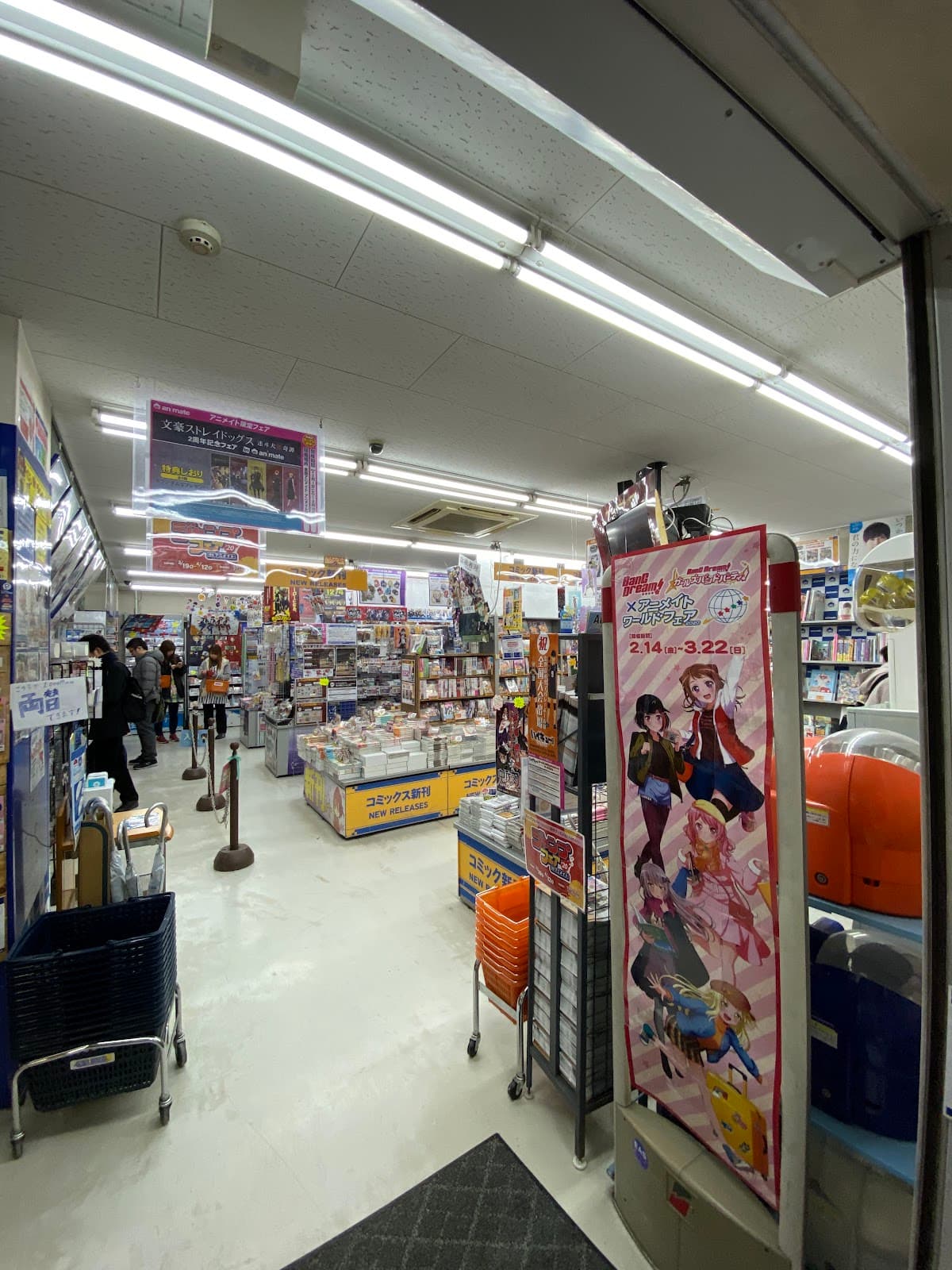 Animate Kagoshima — photo 4