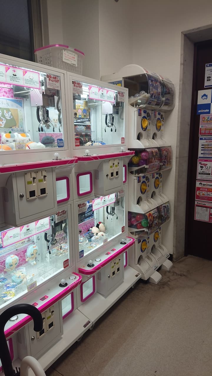 Animate Kagoshima — photo 6