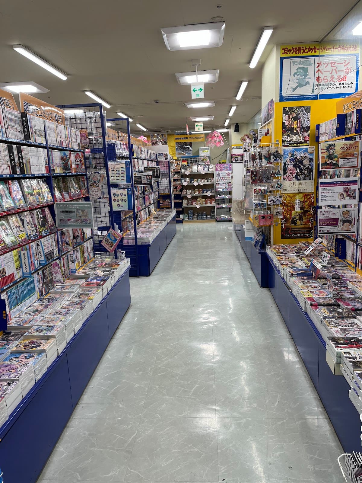 Animate Kumamoto — photo 4