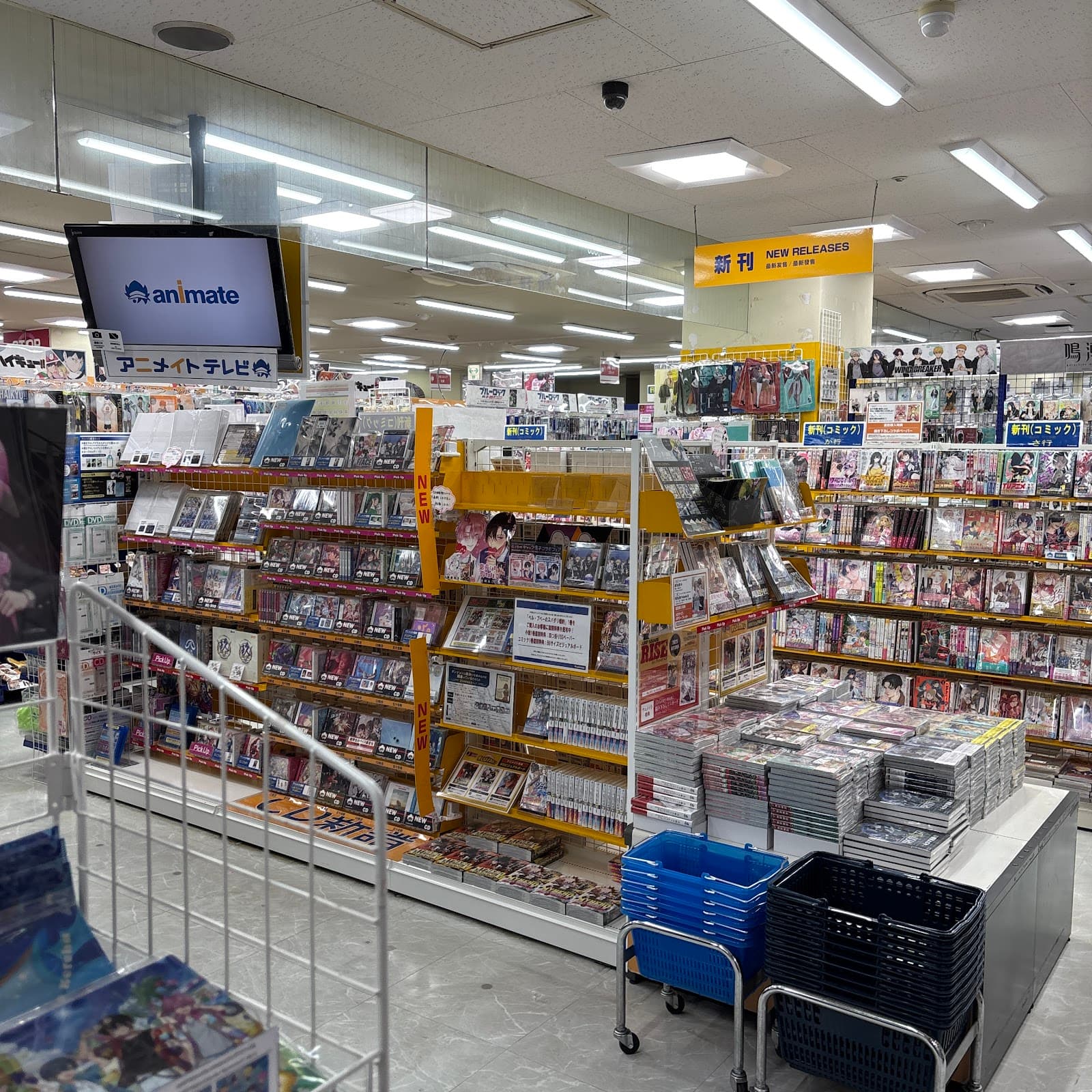 Animate Kumamoto — photo 6