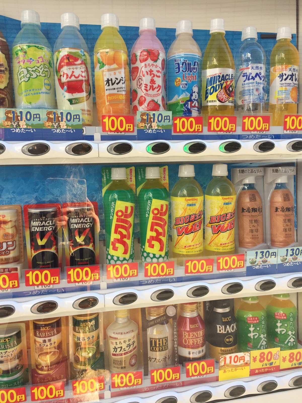 Animate Omiya — photo 4