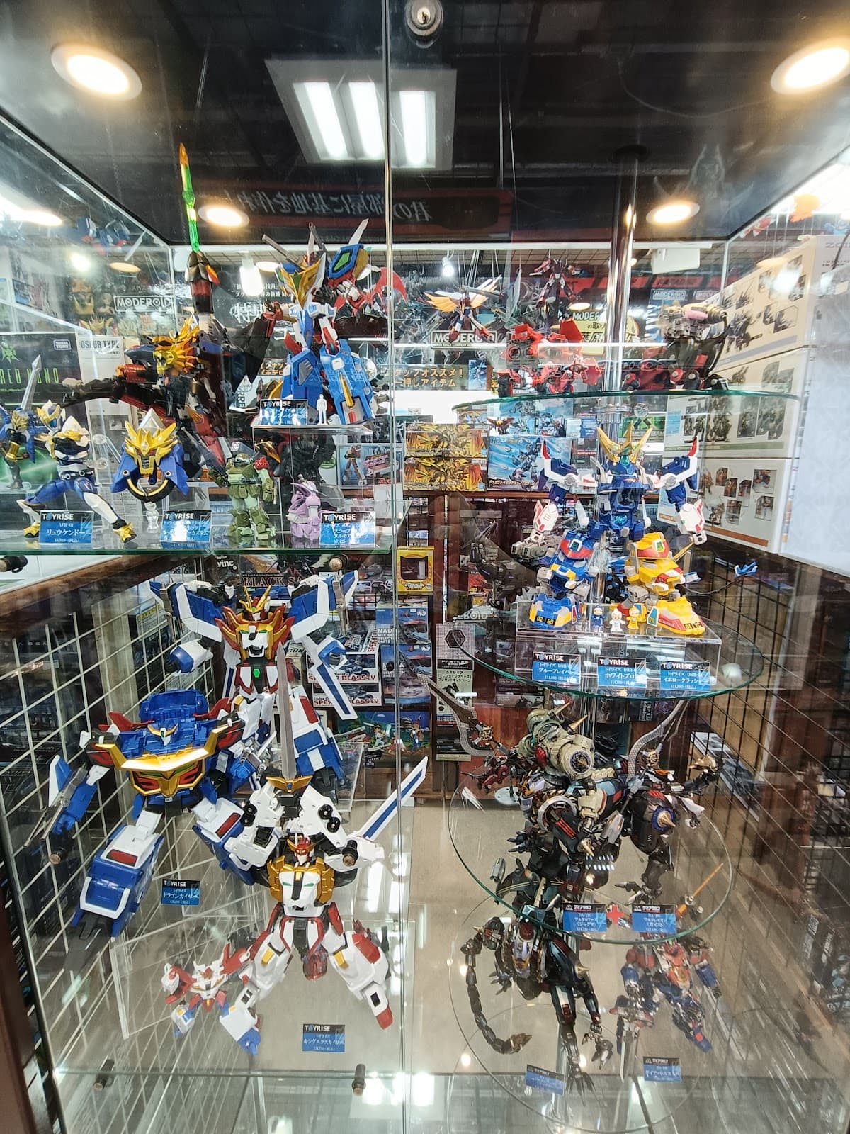 Volks Akihabara Hobby Tengoku — photo 3