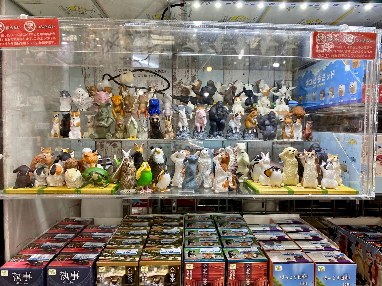 Yamashiroya — photo 2
